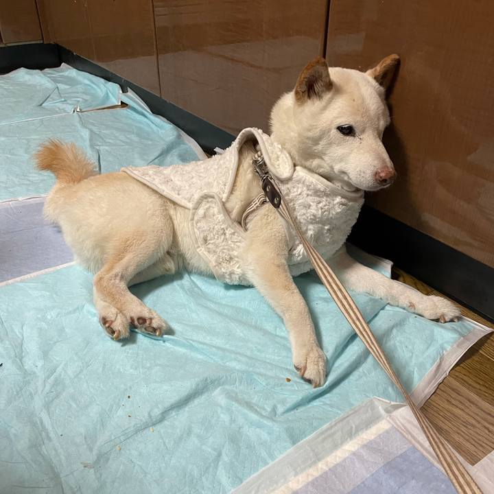 39e7db12 21f5 4cda a7fa 4f70425adf29 1638686290750