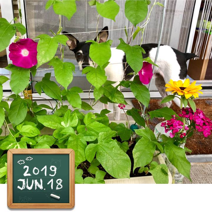 39e7db66 43e3 49df 9a55 1307a0af47e6 1560808530859