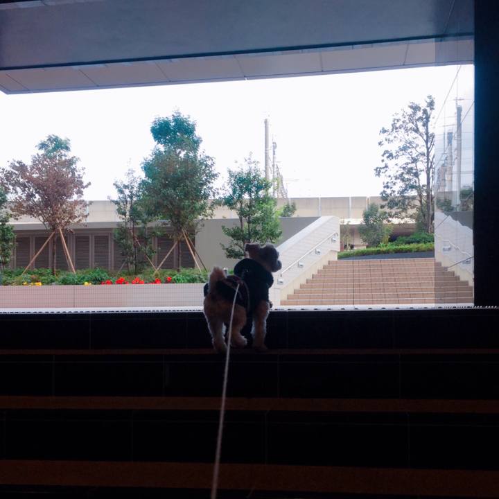 39e80046 7c28 4388 a6a4 23eb934536fc 1543042511733