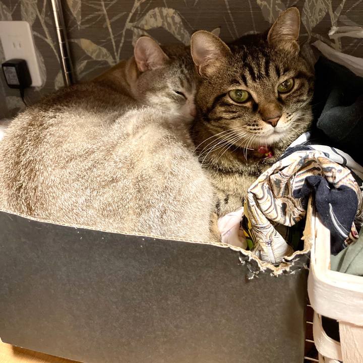 39e83495 cece 4910 a2a1 038b6295a86c 1590332131489