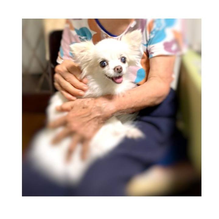 39e84cc6 b083 4819 b82c d284c2ebb0b3 1658662061641