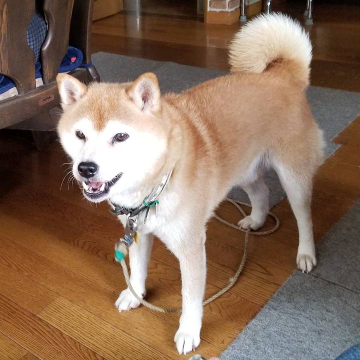 39e8767d e5ef 4ecc a30e cf56f0fe75a3 1627626905233