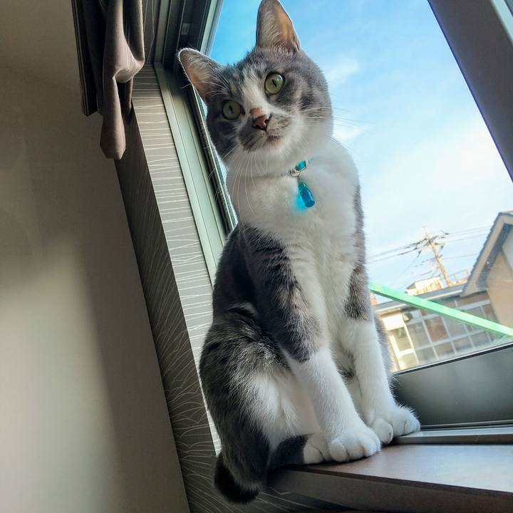 39e8ba16 1aba 4d48 9f87 bf8dadf09703 1631052944624