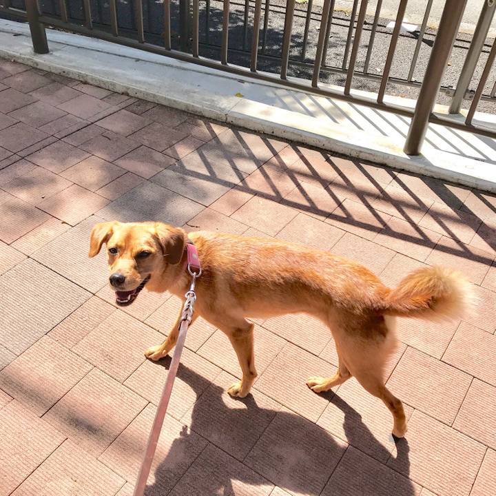 39e8c46c 939c 40be b903 7a75c83e04a3 1534558857839