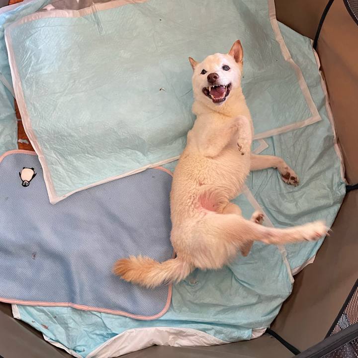 39e93b39 b3f5 45af 9bcf e9209d5f646d 1665887361818