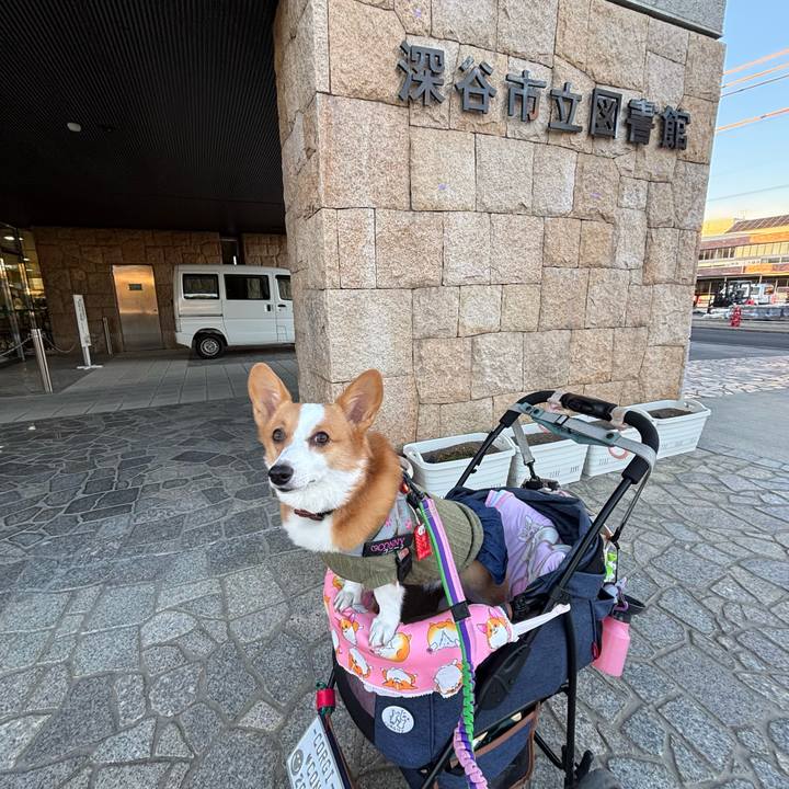 39e94cc9 0449 4865 8052 ee44c1c43640 1763967233345