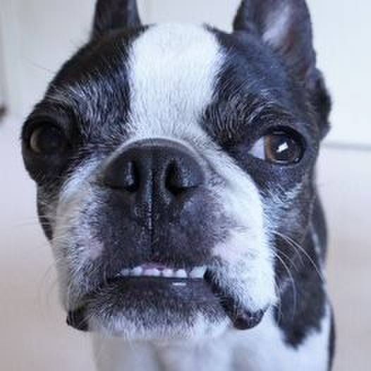 39e958b2 2428 4103 9634 e92e059c42e1 1523593207794