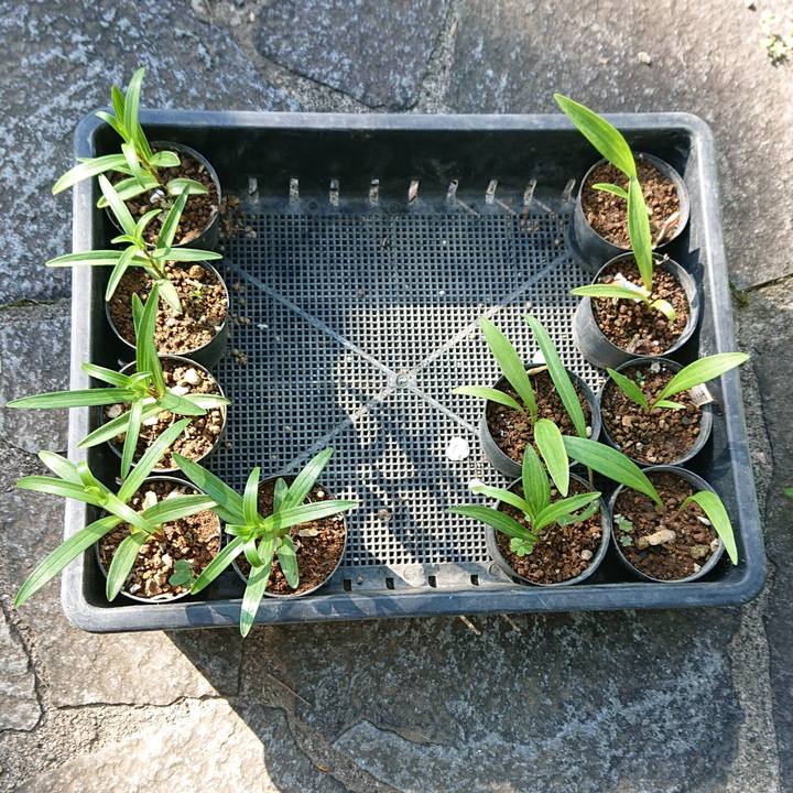 39e962da 7347 47fa 8204 7edcd5959b92 1617408024884