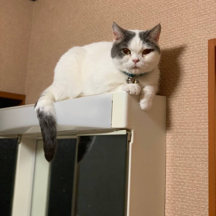 39e97056 0e00 4fd0 8b17 a8bfe7f6f185 1701435004569