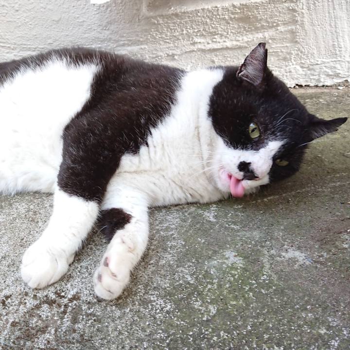 39e995d1 bec2 471d a2de 9feaaf5a713c 1628147895598