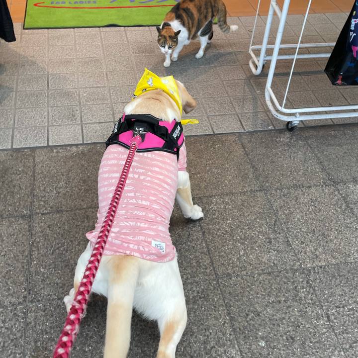 39e99820 dd39 46d5 aa23 b65003023d5b 1627746263405