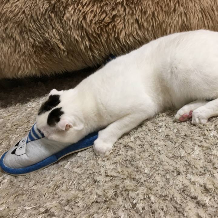 39e9b0be ef1f 41eb ba9a c903db740313 1521722653393