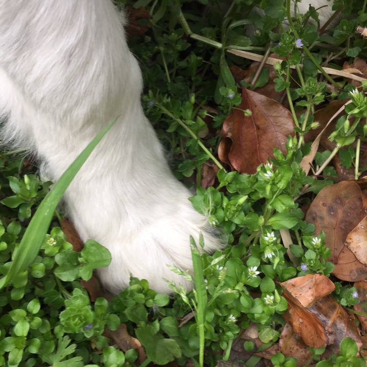 39e9b9bd c24a 4cc5 94da fea494e18f2b 1553215866853