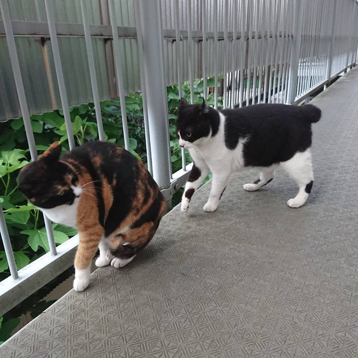 39e9bd48 8cdf 4bc6 b68c f15717fe8adb 1530955563756