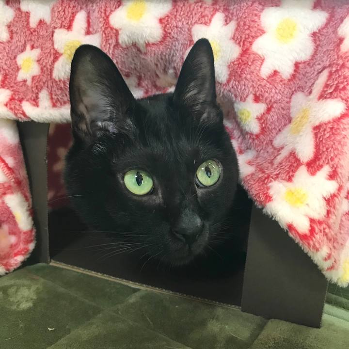 39e9cc1e 4181 4def a2df 18149a29acfb 1512265710718