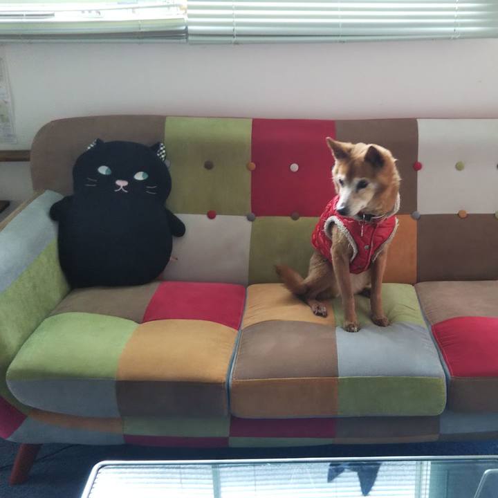 39e9fbe8 cb5e 44a3 b318 c14516eb6a32 1613226833203