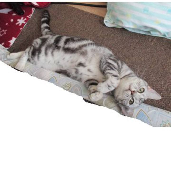 39ea4833 a8ab 4cbe 85d9 ee887d67364e 1556879553872