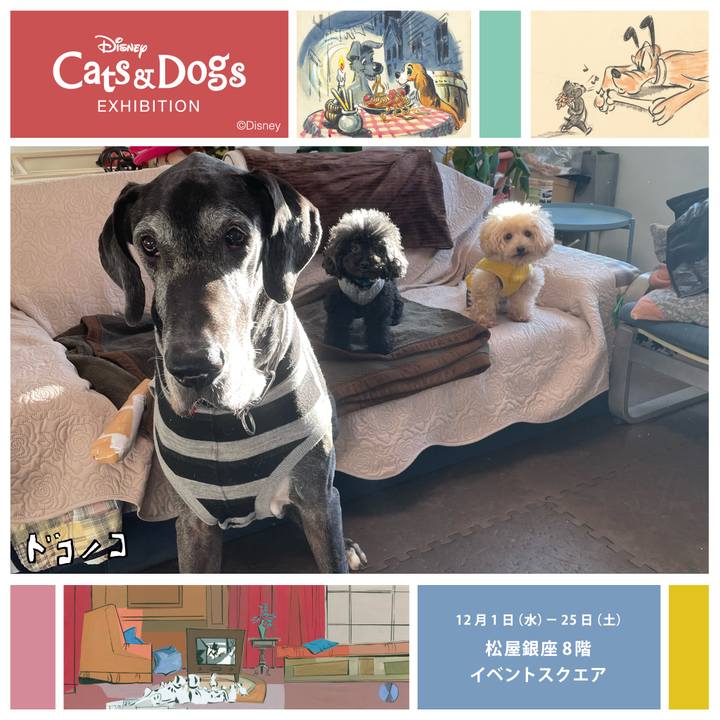 39ead738 ca73 46cf a618 8ab05872e820 1638531715356