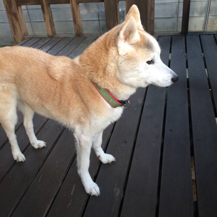 39eb071a d77a 488e 8083 221490ff764c 1570696503139