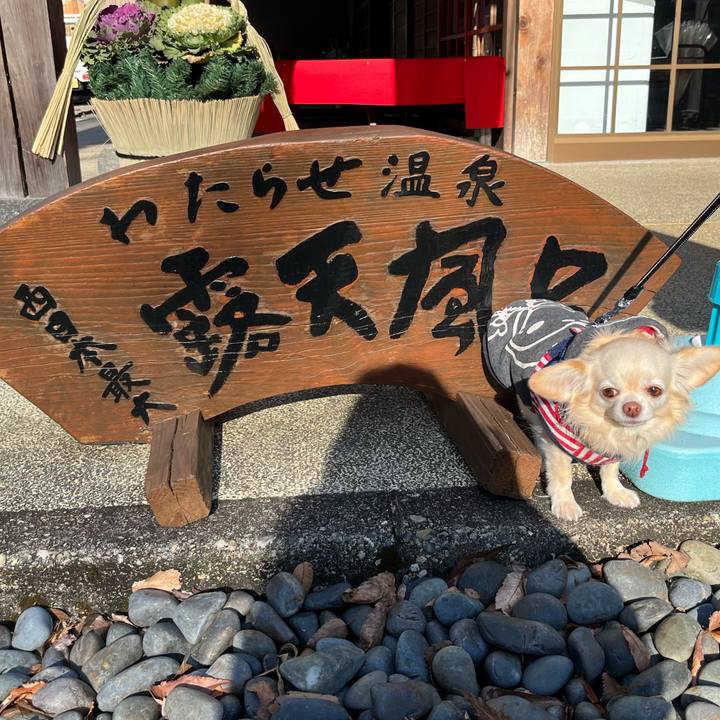 39eb41a4 e354 4ebc a5c3 3ba3ebe4cde4 1736168991880