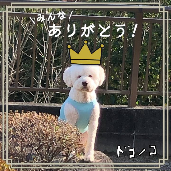 39eb6c48 d38e 416a 9827 07bdc99ffe3c 1623453147166