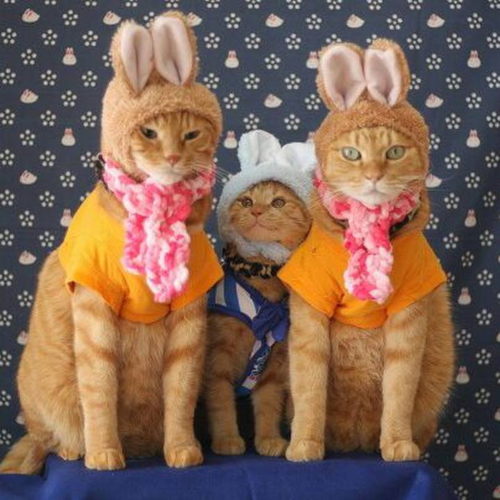 39eb7dd5 4554 4e5c b2ef a448e0b91ca0 1544409629873