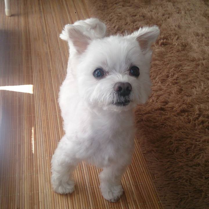 39ebdad7 86e4 4801 85d8 6e9a0b1ba703 1513813075104