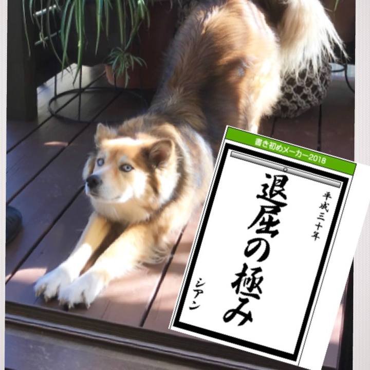 39ebe285 df9c 40f3 b855 e80b6512a25d 1514864675511