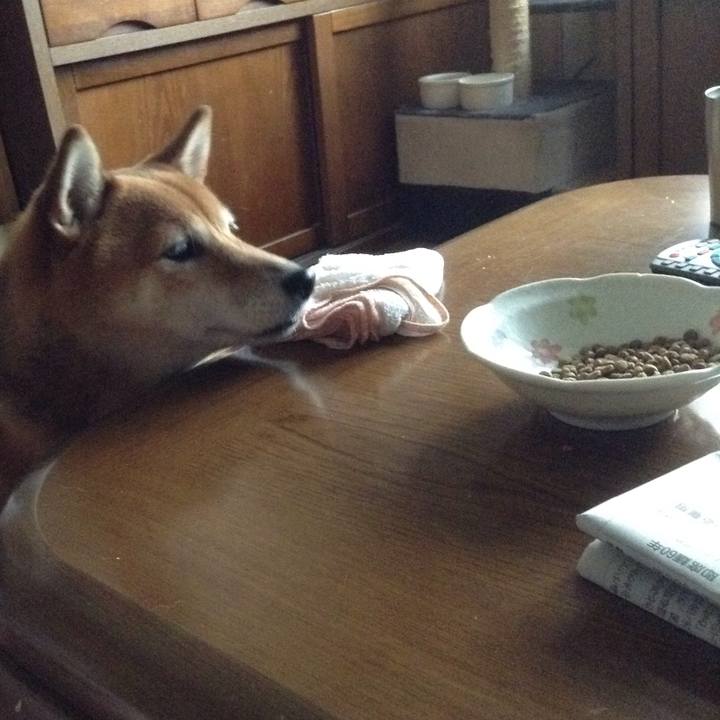 39ebec2c 03c8 47f6 916f 6d64a96e7aa7 1535067118828