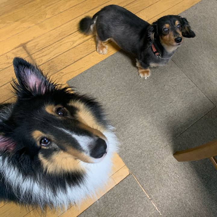 39ec3bcc d1fb 44db bf78 54a87e0c431a 1594764868088