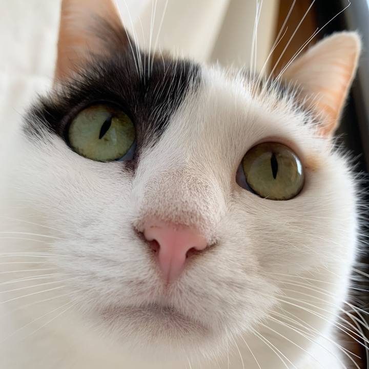 39ec458f 8279 4d6b 991e d88e54344478 1578362739109