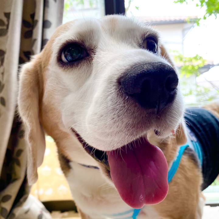 39ec6521 9c84 4989 9779 739e66a12514 1593238695837