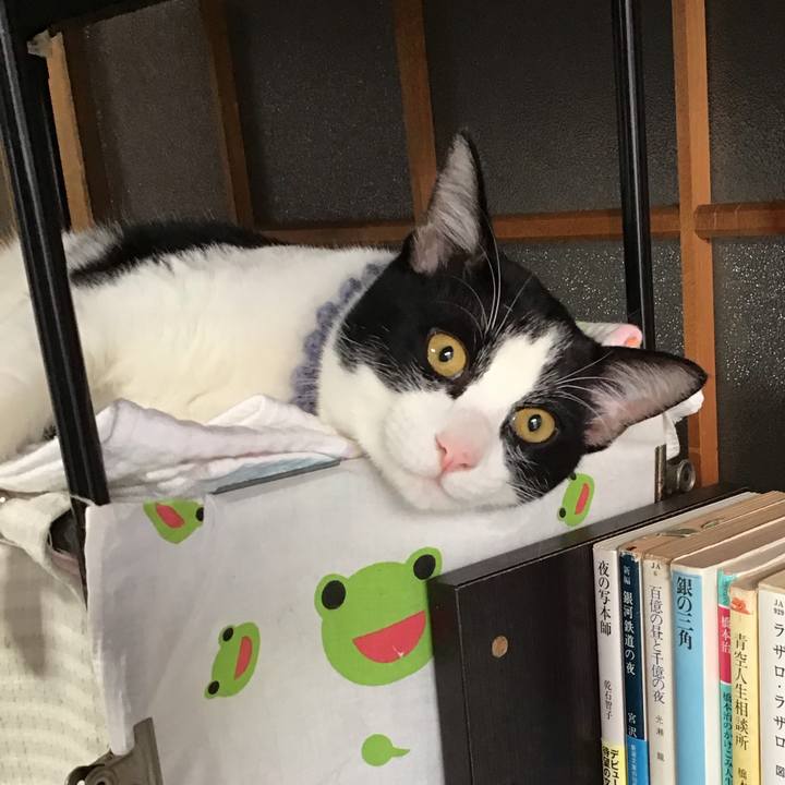 39ec7a1e 9e20 40b2 818b b0f0b7dd1ca0 1639093700650