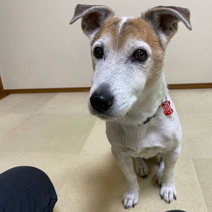 39ec7d48 7112 49de 82db 7501dd12aa0e 1607597997776