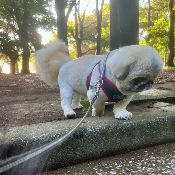 39ec92a3 eeec 43a2 82b9 ff3e6c20aabe 1718747076160