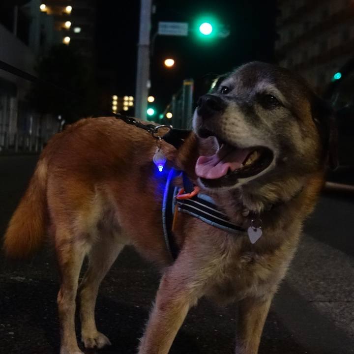 39ec965a 021d 4b72 9dbd 411b67e9b848 1569235559992