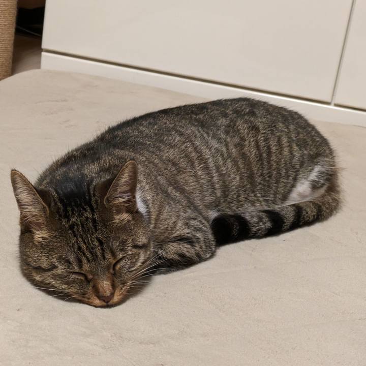 39ecaefe b859 42f5 8fb9 b559faf39c88 1692786880020