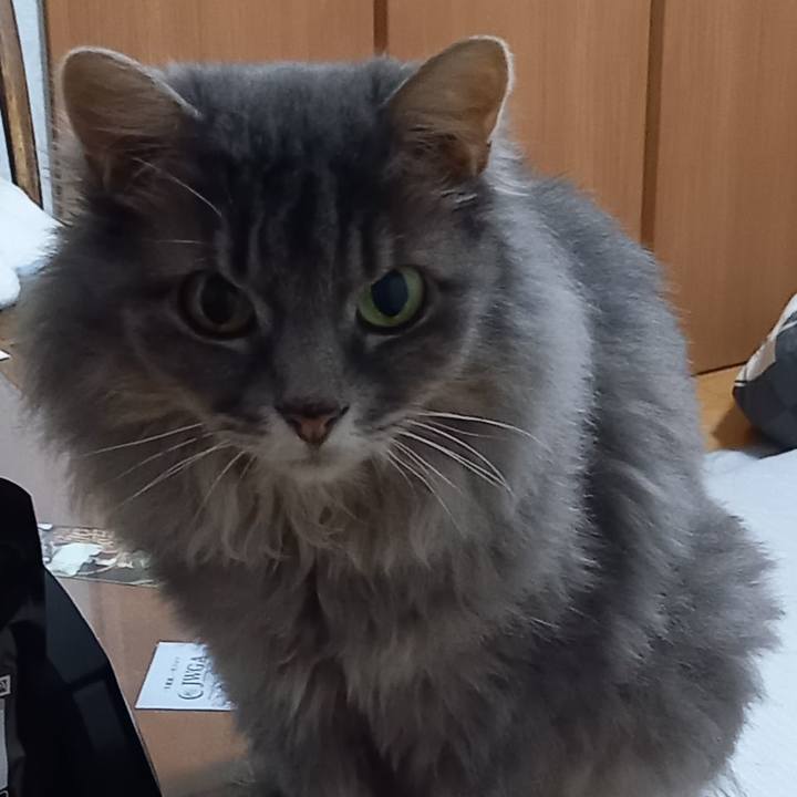 39ecbb70 5315 4663 9264 c21009f09d11 1661810435417