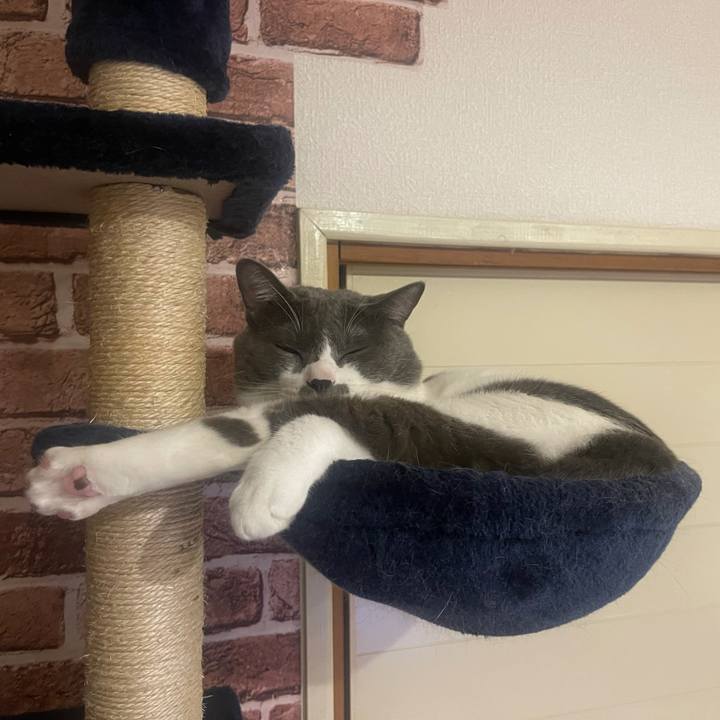 39ecc9a6 8eb8 4492 aa42 7f78d4baa564 1631869792475