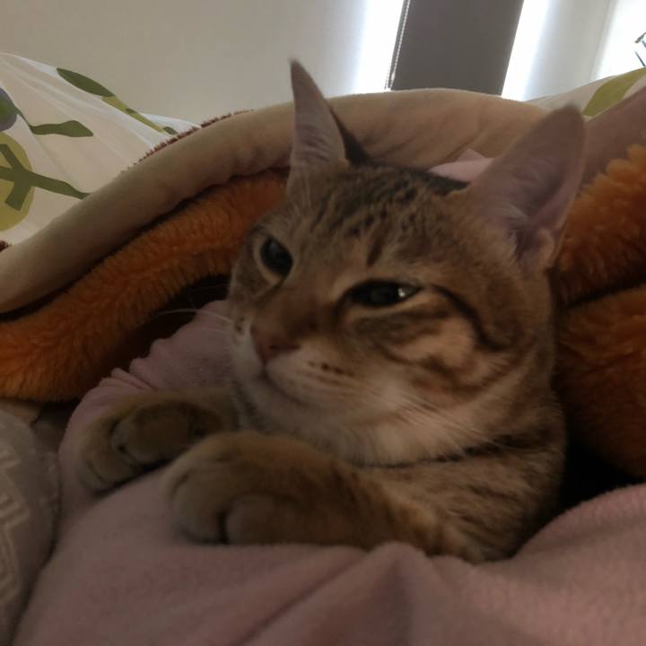 39ed1d88 b1a2 42f7 9e15 a2d284735068 1556163234193