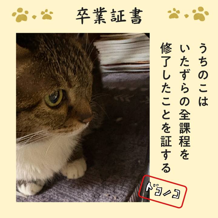 39ed368a b562 464e 96cd b7ebab058f3b 1771976563877