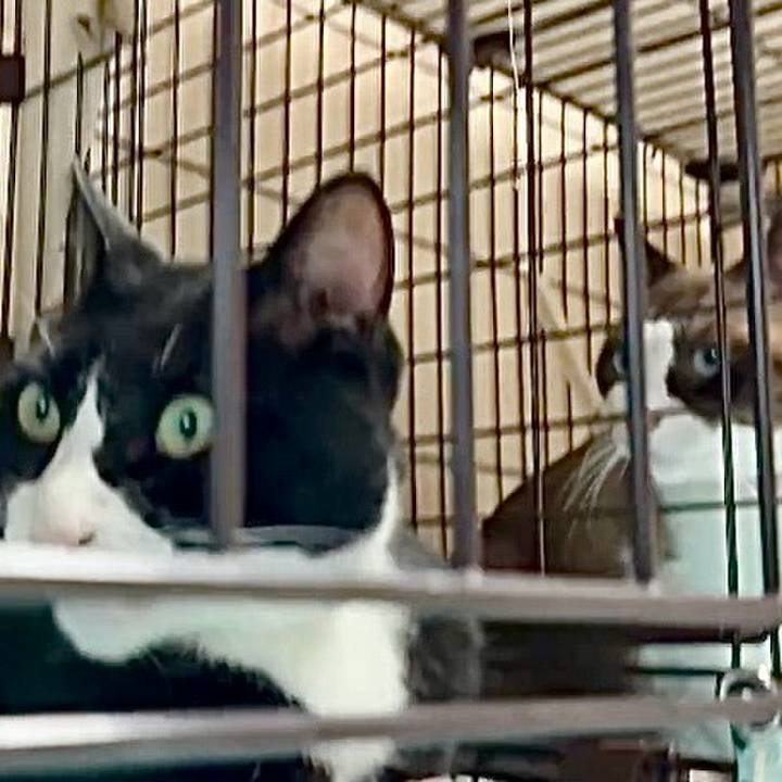 39edbfcb 0d9a 4c3b b9fe b8e7849cc6b2 1756381949374