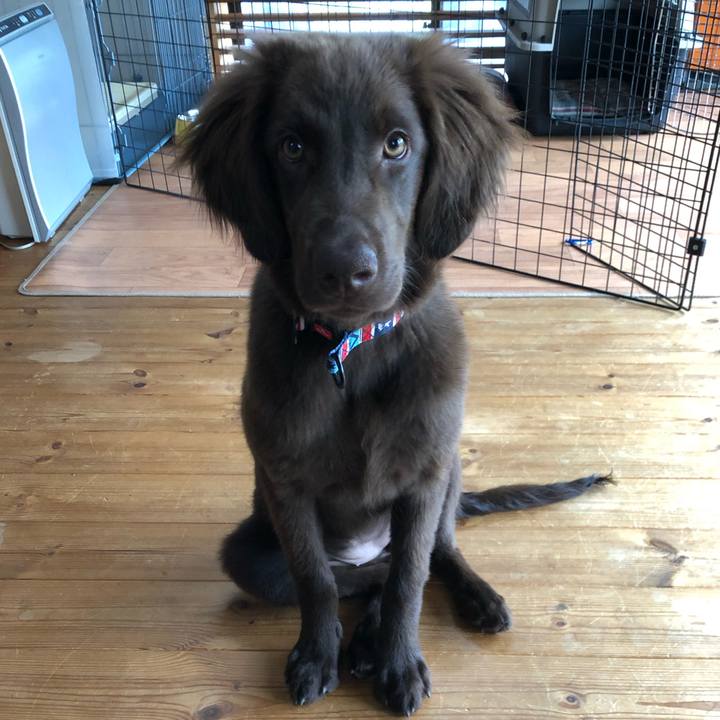 39ede0b4 6c55 484c 9253 9241b4e45a97 1557439856057