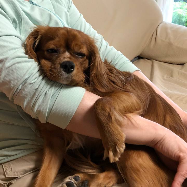 39ee0050 1ad9 435e 8840 6e9e5a966eb3 1526192900440