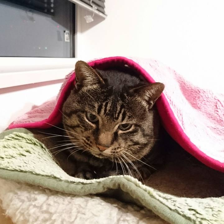 39ee25fe fcef 46db 9ba2 2bb838801522 1510911755065