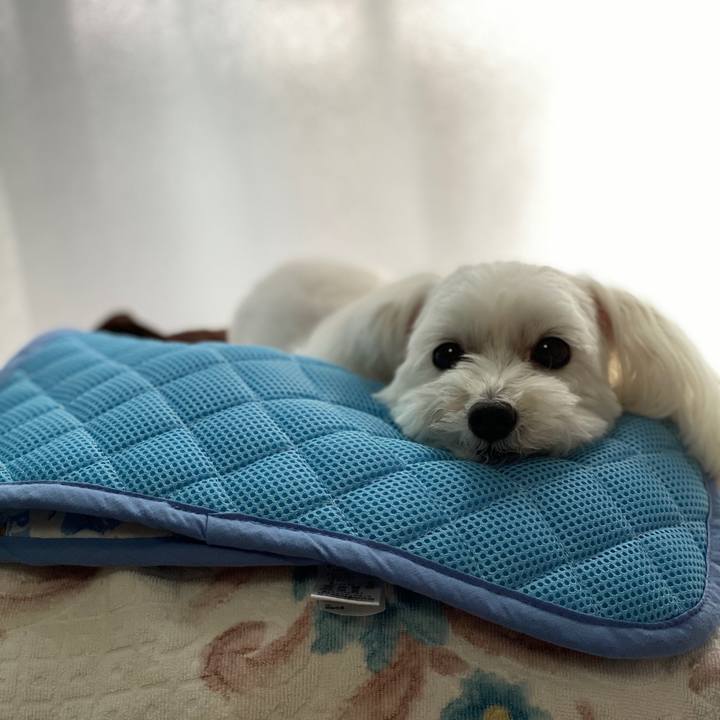 39ee2de1 1cf3 4693 9776 6a416b5f4ad7 1600134776247