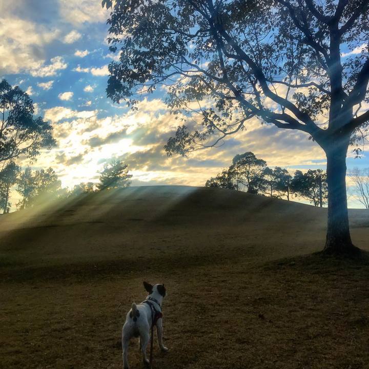 39ee3cad 612e 4802 a584 73a346668a09 1520592719074