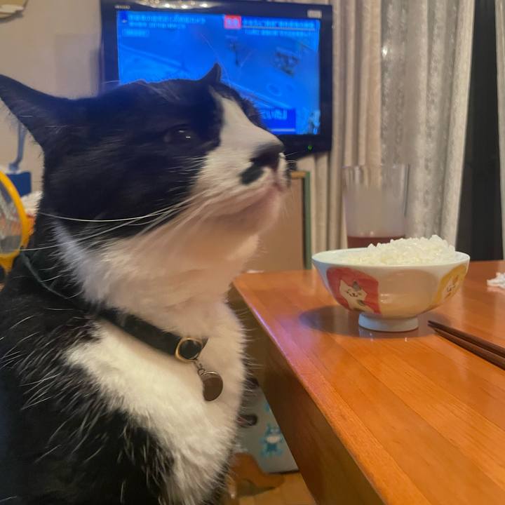 39ee443e fc93 4f51 8eab 96ff13549dff 1725542983004