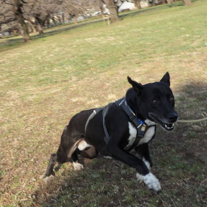 39ee58fb cf65 4168 ac51 256ab1d0723f 1647045274474