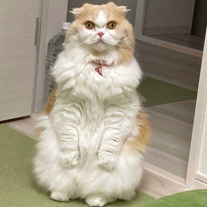 39ee659a 4443 4ce3 a79e b17b62097621 1627562726642